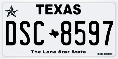 TX license plate DSC8597