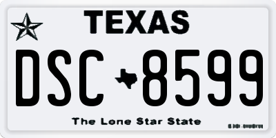 TX license plate DSC8599