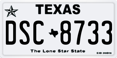 TX license plate DSC8733