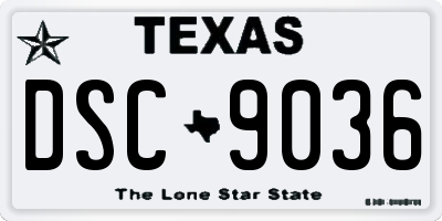 TX license plate DSC9036