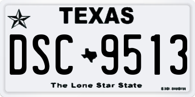 TX license plate DSC9513
