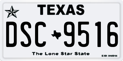 TX license plate DSC9516