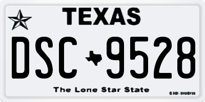 TX license plate DSC9528