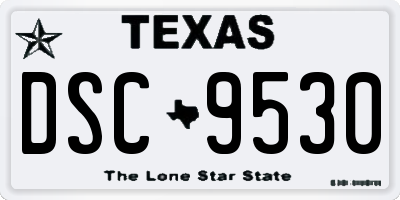 TX license plate DSC9530