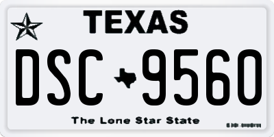 TX license plate DSC9560