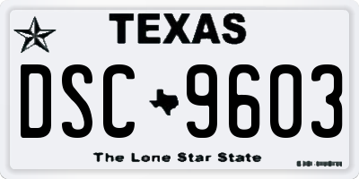TX license plate DSC9603