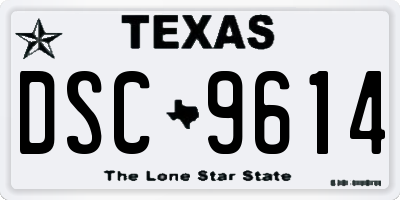 TX license plate DSC9614