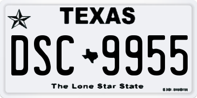 TX license plate DSC9955