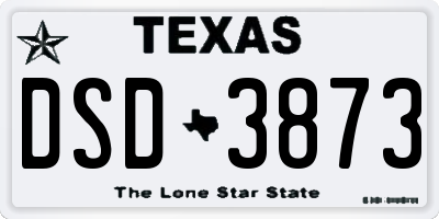TX license plate DSD3873