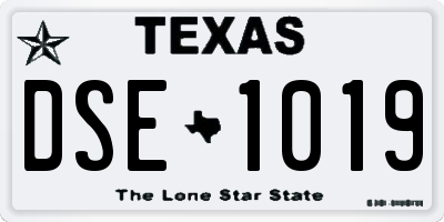 TX license plate DSE1019