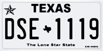 TX license plate DSE1119
