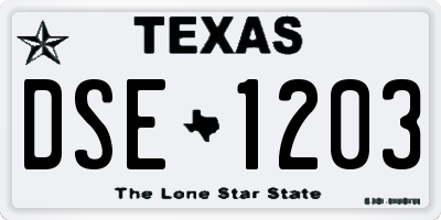 TX license plate DSE1203