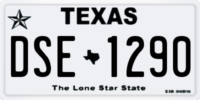 TX license plate DSE1290