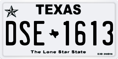 TX license plate DSE1613