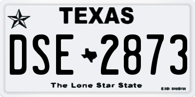 TX license plate DSE2873