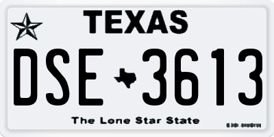 TX license plate DSE3613