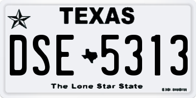 TX license plate DSE5313
