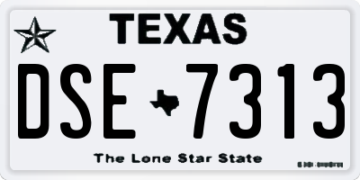 TX license plate DSE7313