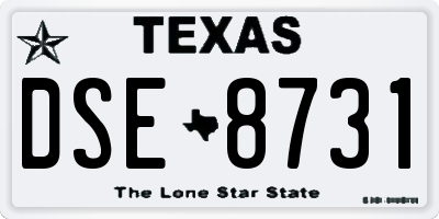 TX license plate DSE8731