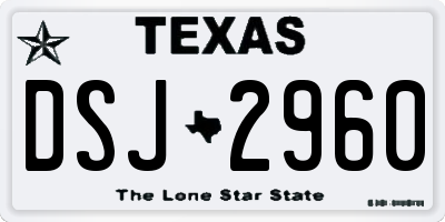 TX license plate DSJ2960