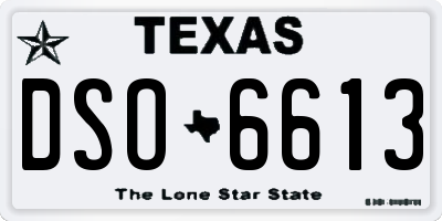 TX license plate DSO6613