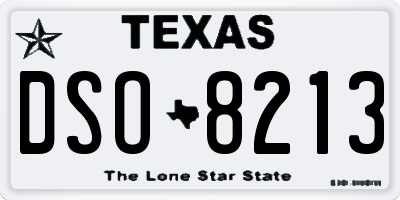 TX license plate DSO8213