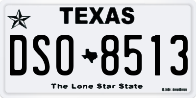 TX license plate DSO8513
