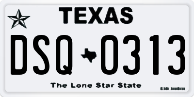 TX license plate DSQ0313
