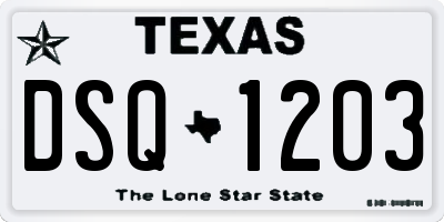 TX license plate DSQ1203