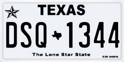 TX license plate DSQ1344