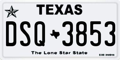TX license plate DSQ3853