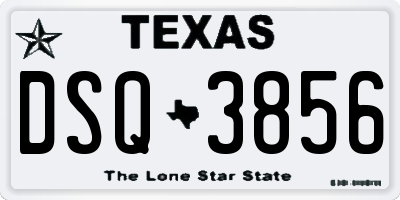 TX license plate DSQ3856