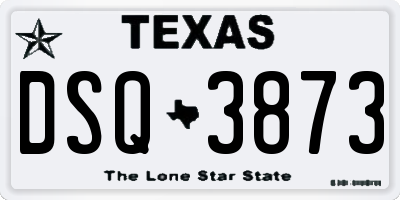 TX license plate DSQ3873