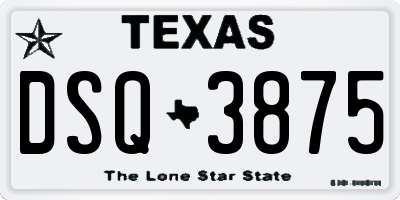 TX license plate DSQ3875