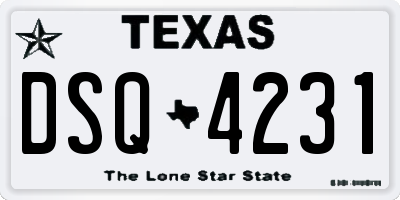 TX license plate DSQ4231