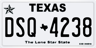TX license plate DSQ4238