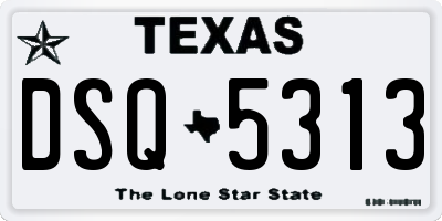 TX license plate DSQ5313