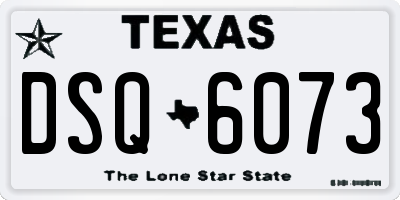 TX license plate DSQ6073
