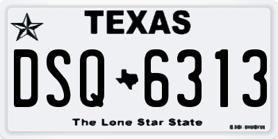 TX license plate DSQ6313