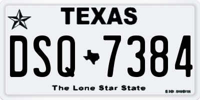 TX license plate DSQ7384