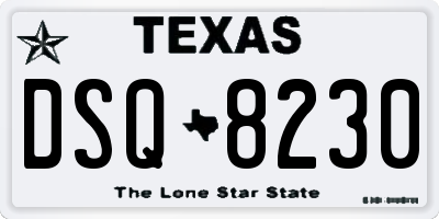 TX license plate DSQ8230