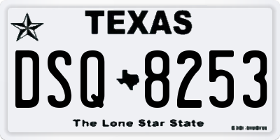 TX license plate DSQ8253