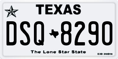 TX license plate DSQ8290