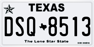 TX license plate DSQ8513