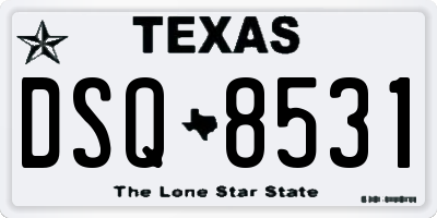 TX license plate DSQ8531