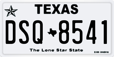 TX license plate DSQ8541