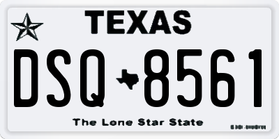 TX license plate DSQ8561