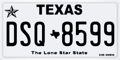 TX license plate DSQ8599