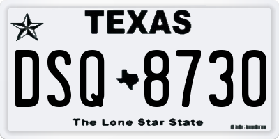 TX license plate DSQ8730
