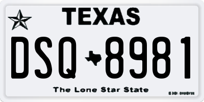 TX license plate DSQ8981